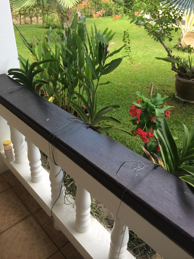 Palm Gardens Resort, Bang Saphan Exterior foto